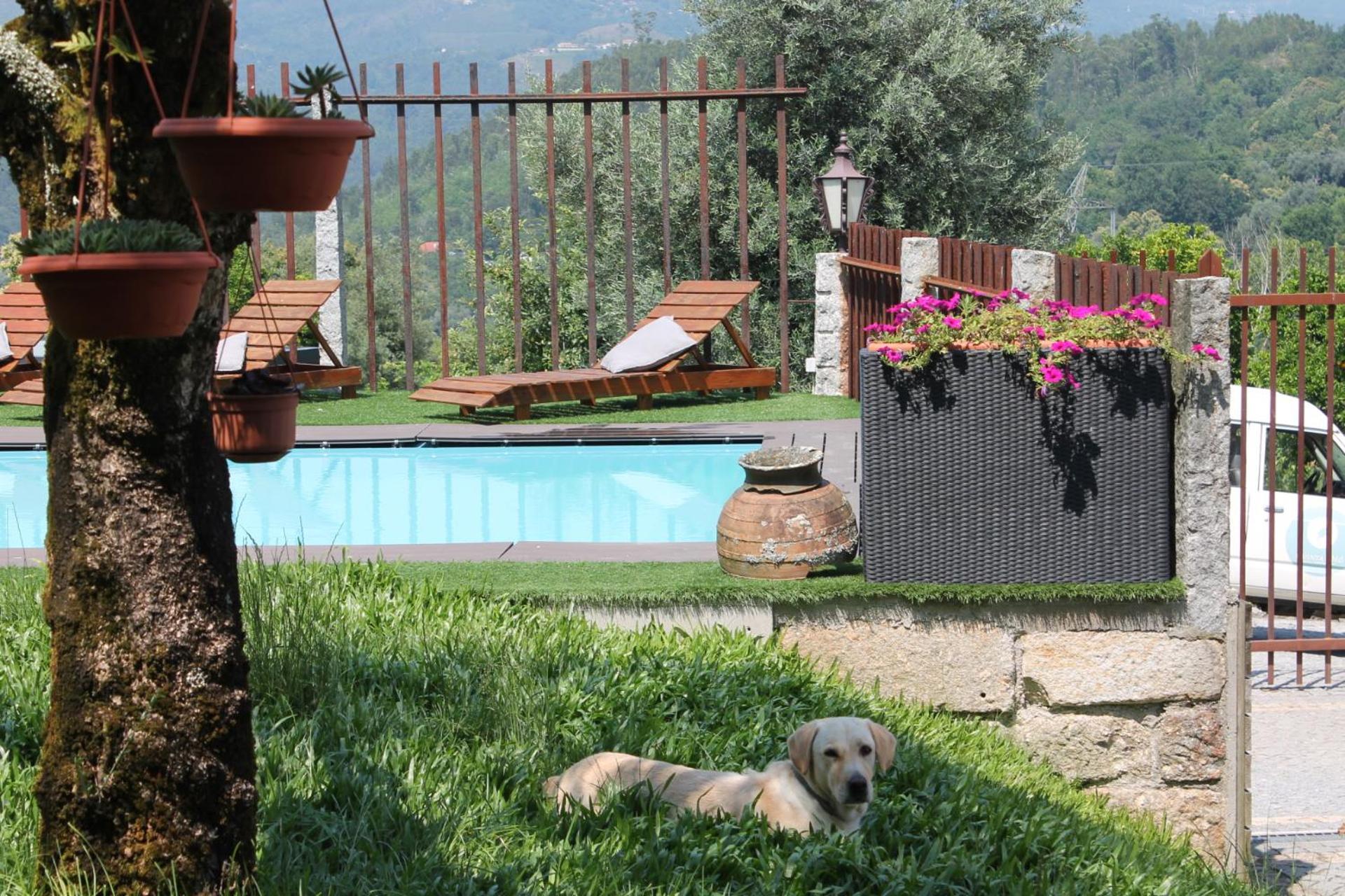 Quinta Da Mo Villa Terras de Bouro Eksteriør billede