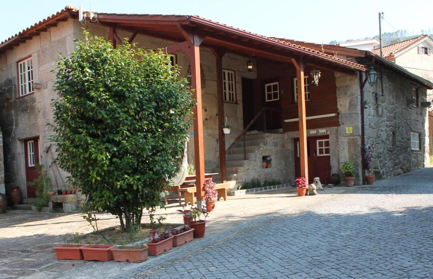 Quinta Da Mo Villa Terras de Bouro Eksteriør billede